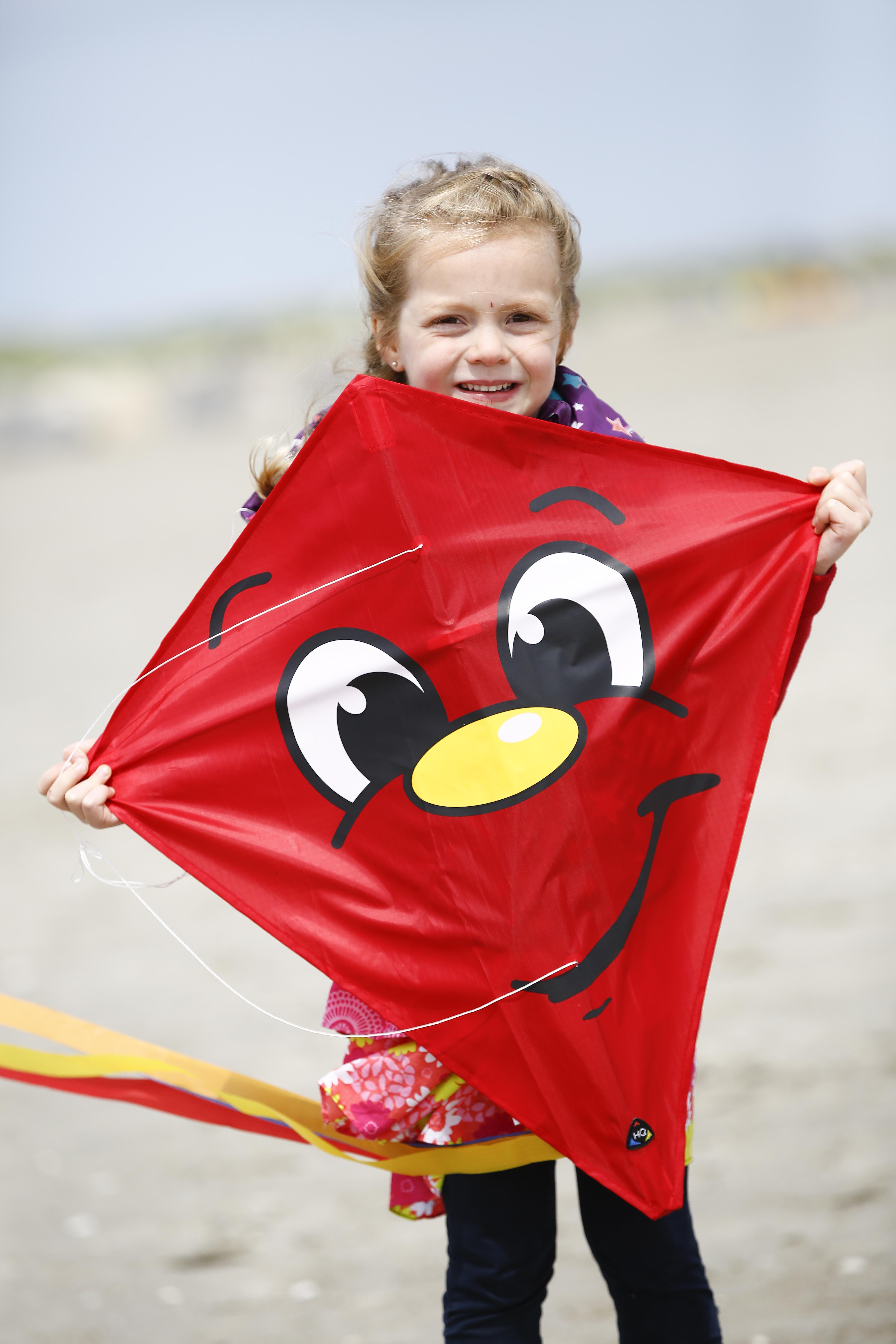 Up Up Up and Away! It's Dublin Kite Festival this Weekend. Limelight